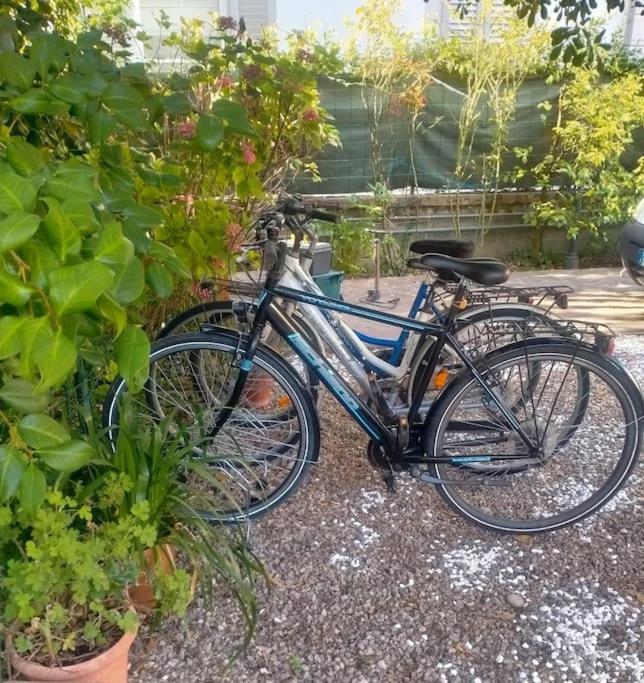 Just Outside The Wall: Free A/C, Bikes And Wifi ルッカ エクステリア 写真